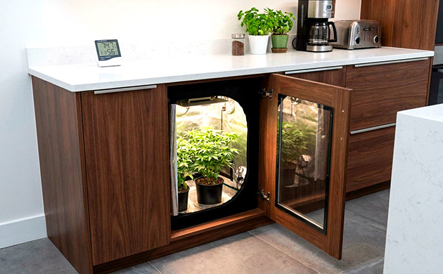 Grow tent micro growing cannabis cheap stealth grow box