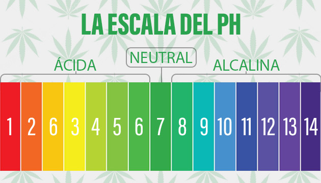 pH level for weed
