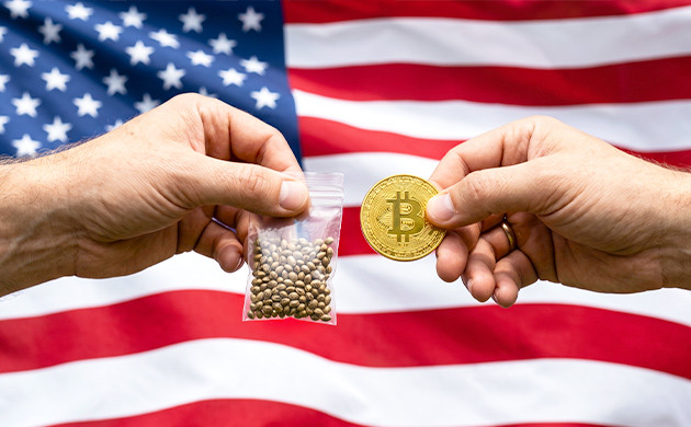 cannabis seeds bitcoin usa shipping