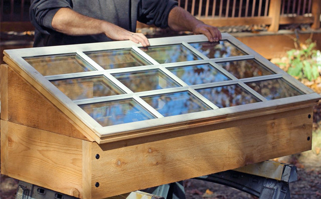 growing weed in a greenhouse 