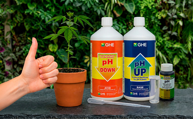Wie man den pH-Wert in Wasser für Unkraut senkt how to lower ph in water for cannabis