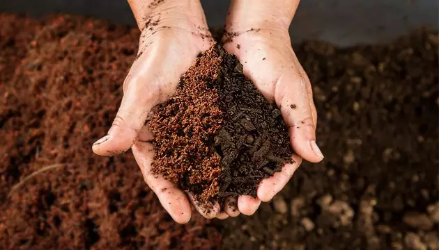 Choosing the right soil mix autoflower strains