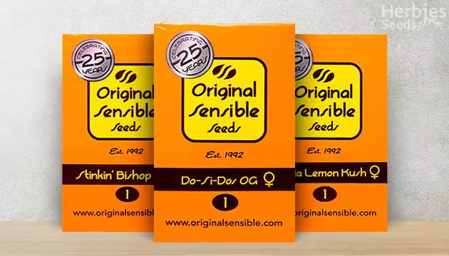 Original Sensible Seeds buy seeds