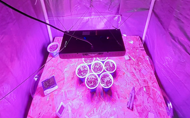 diy grow tent