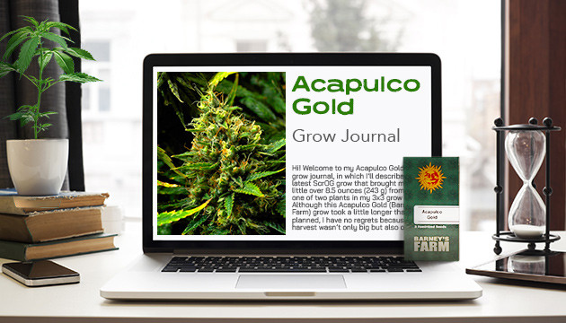 acapulco gold grow report