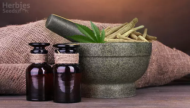 using cannabis roots