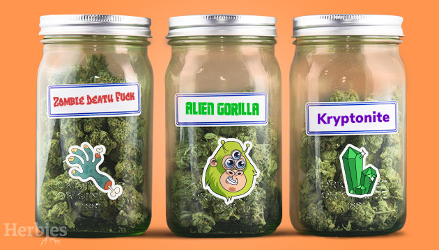 15-funny-weed-names-herbies-herbies-seeds