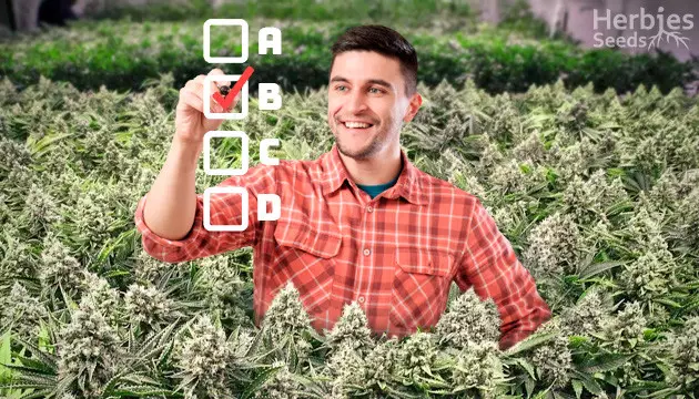 How Good A Weed Grower Are You?