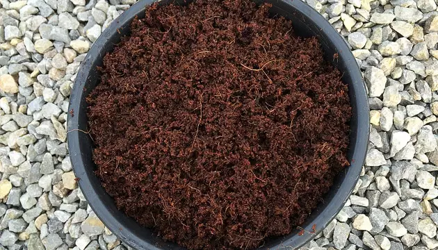 coco blends