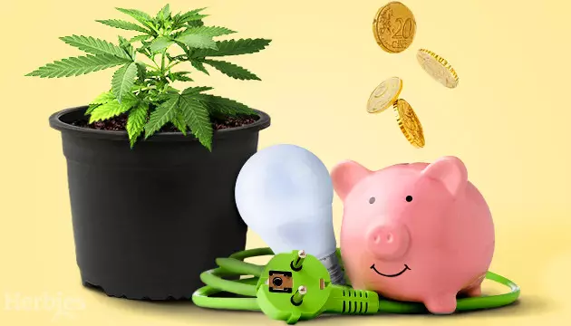 comment economiser sur l electricite quand on cultive du cannabis