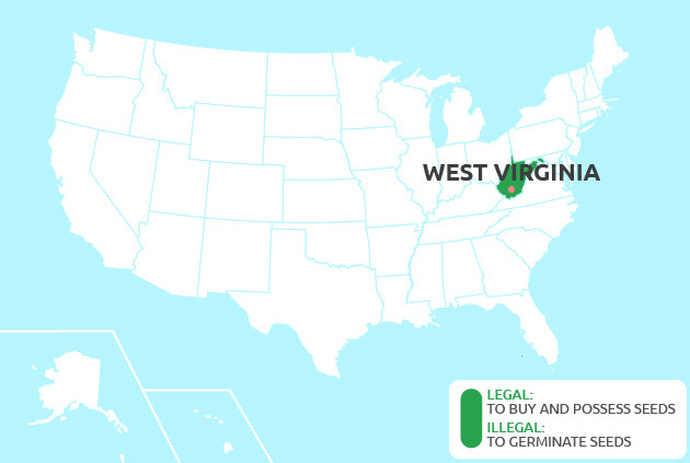 Can You Grow Cannabis in West Virginia?