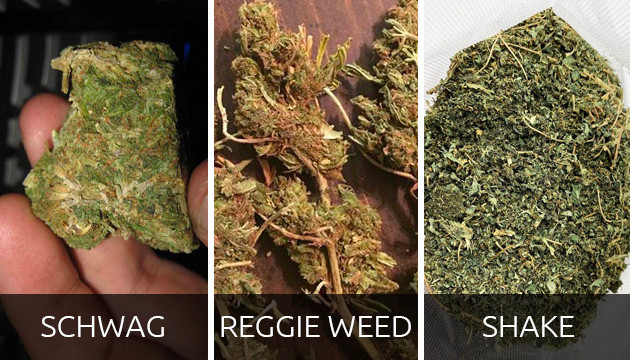 L’aspect de la mauvaise weed