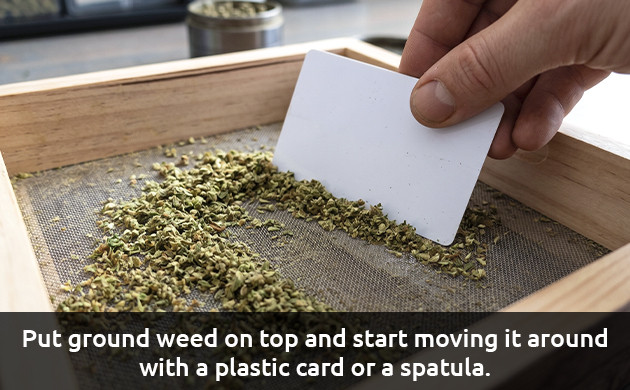 How to collect kief how to use kief