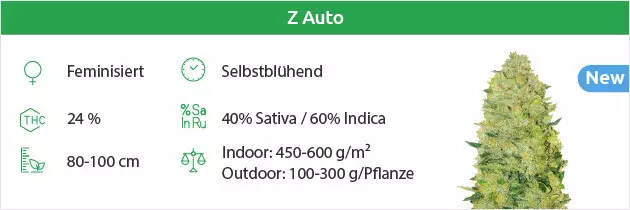 Zkittlez auto free seeds