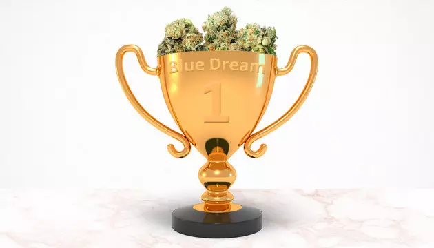 Humboldt Seeds reviews