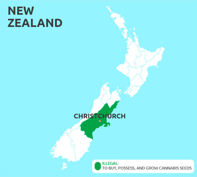 Can You Grow Cannabis in Christchurch