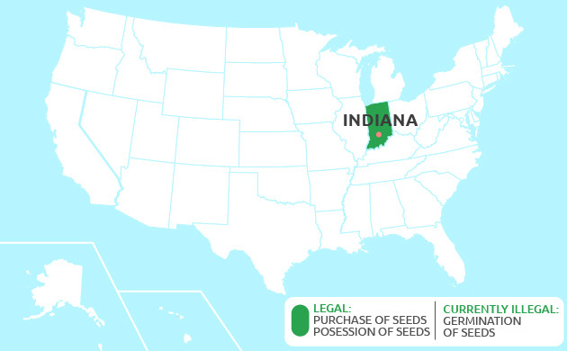growing cannabis in Indiana