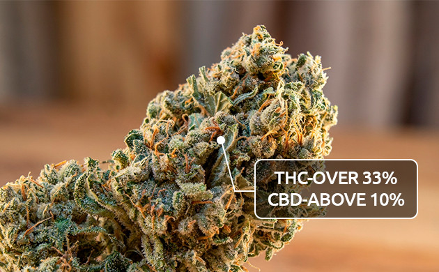 Cannabinoid content of real dank weed how to tell if weed is good