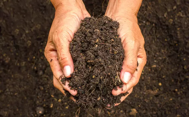 super soil and living soil