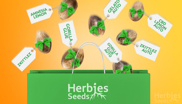 Sementes de cannabis grátis da Herbies