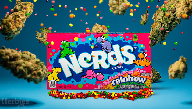 Nerds Rope Edibles - Wonka Bar Official