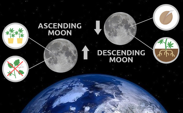 Ascending Moon and Descending Moon