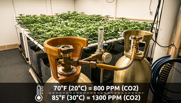 Temperature an important consideration co2 generator for plants
