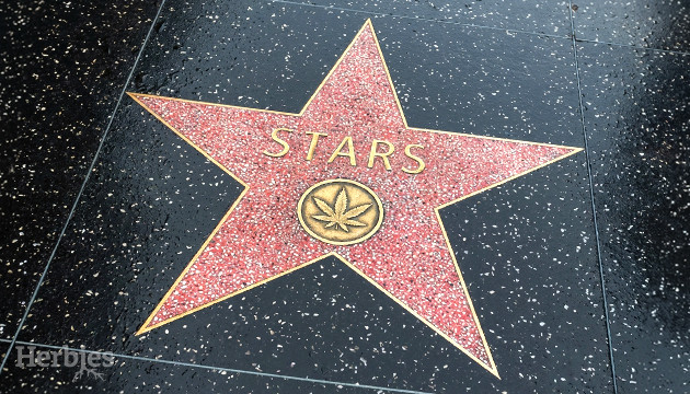 Les 10 celebrites pro-cannabis que vous devez connaitre celebrites pro du cannabis