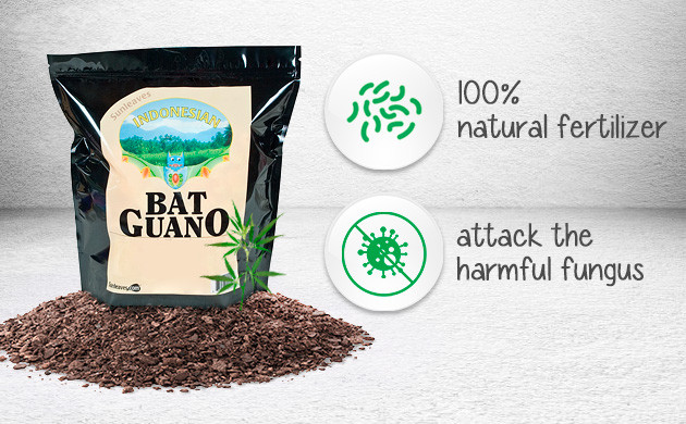 bat guano fertilizer