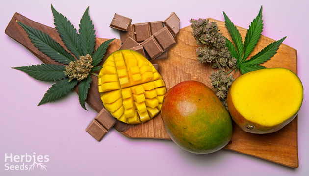 Mango and Weed Chocolate Recipe: The High Elevation