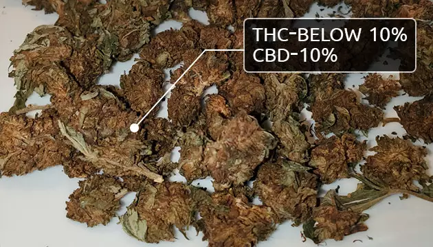 Unkraut der Mittelklasse