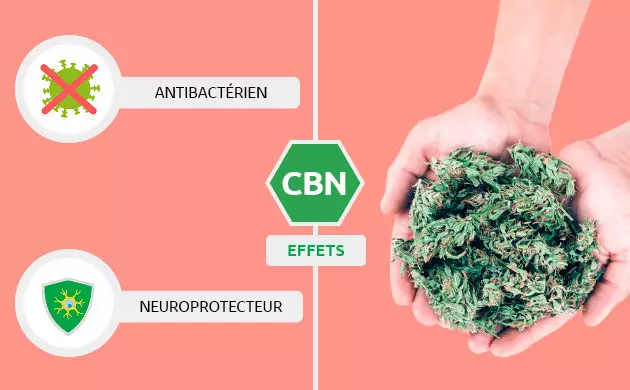 CBN effets 