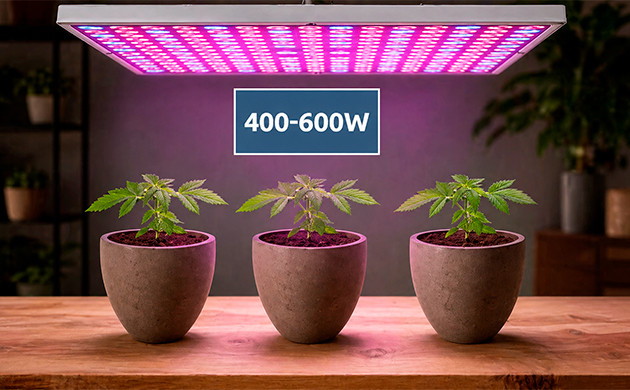 Plants' quantity depends on lightning how many plants per grow light