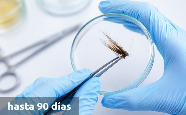 how long does thc stay in your hair