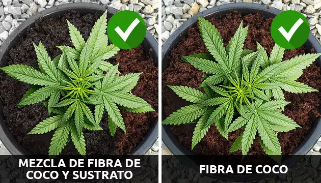 ph para la mezcla de suelo de coco