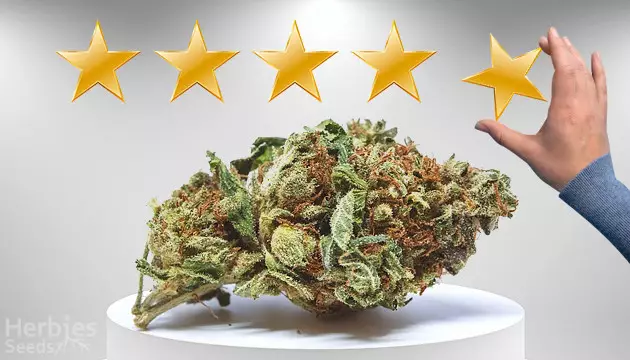 reggie weed