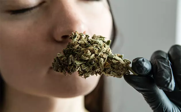 moho en marihuana seca