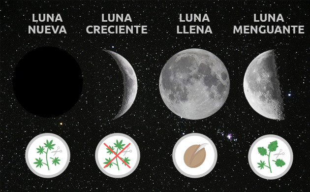 imágenes de las fases de la luna