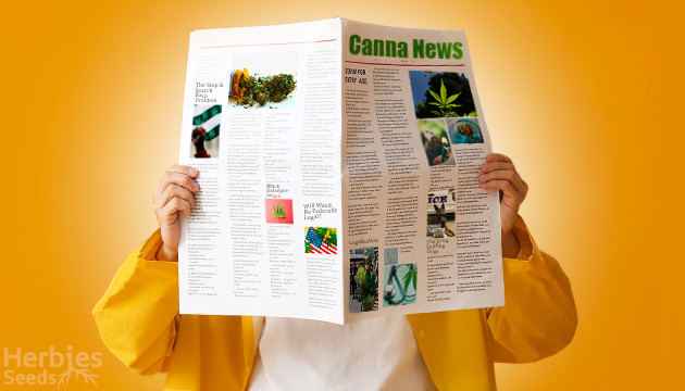 Latest Cannabis News 