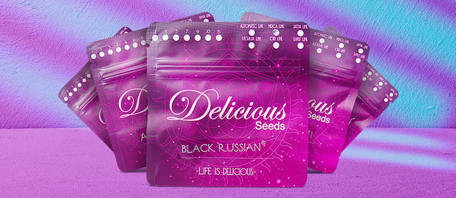 Comprar semillas Delicious Seeds
