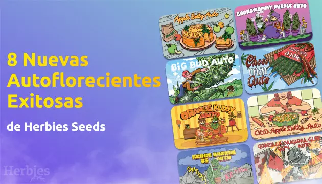 ya estan aqui las 8 versiones autoflorecientes de los exitos de herbies seeds