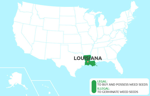 Cannabis seeds for sale in Louisiana