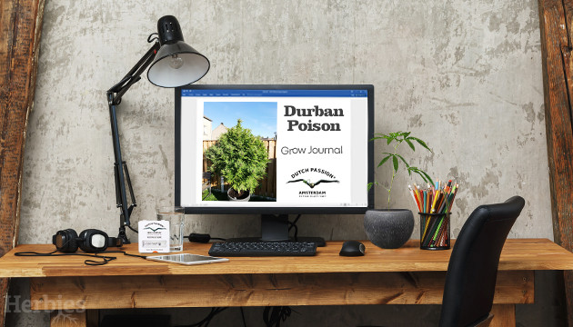 journal de culture outdoor de la durban poison