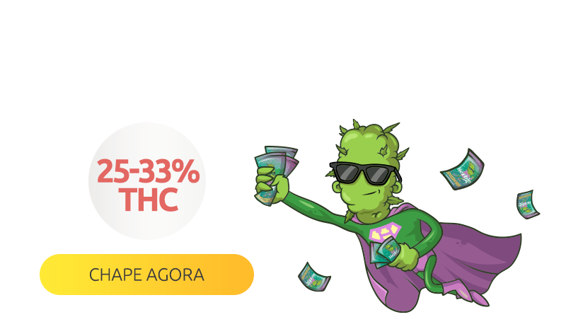 Quiz de perguntas aleatórias😉👌