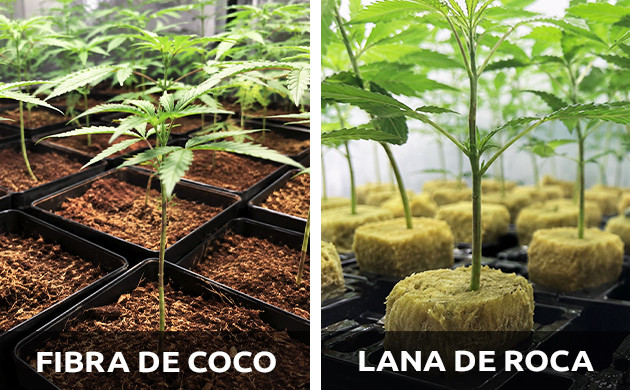 Mejores nutrientes para la hierba