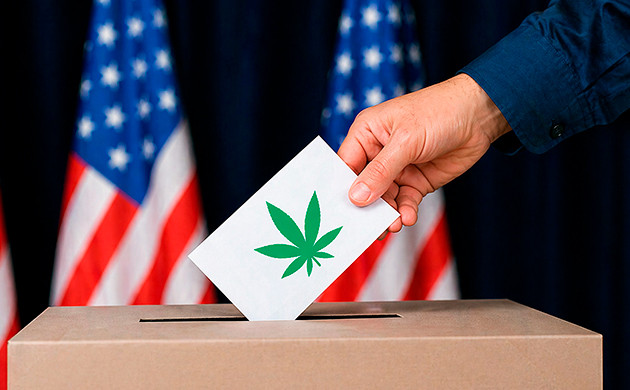 busted for ordering seeds