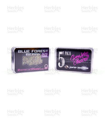 Blue Forest Berry Auto — Growers Choice