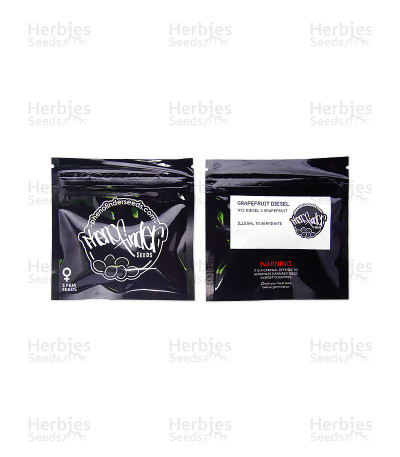 Grapefruit Diesel — Pheno Finder Seeds