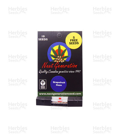 Grapefruit Haze — Next Generation Seeds