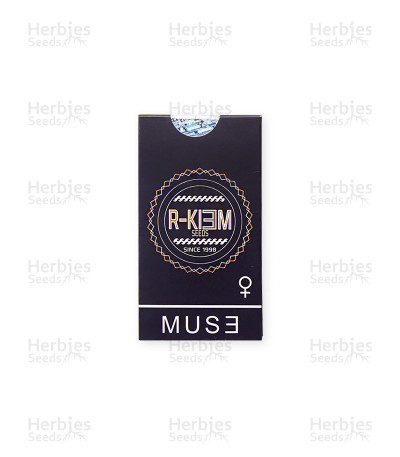 Muse